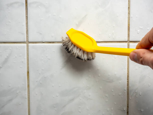 Best Home Mold Removal  in Holiday Shores, IL