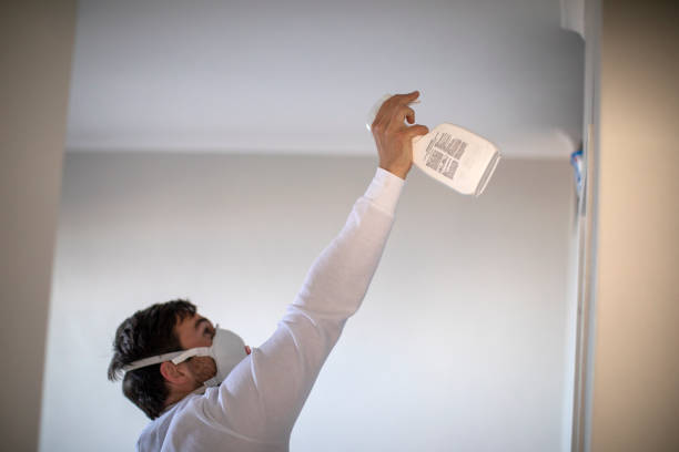 Best Mold Testing  in Holiday Shores, IL