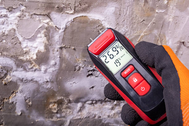 Best Fast Mold Removal  in Holiday Shores, IL