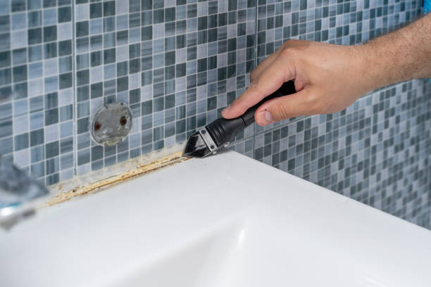 Best Residential Mold Removal  in Holiday Shores, IL